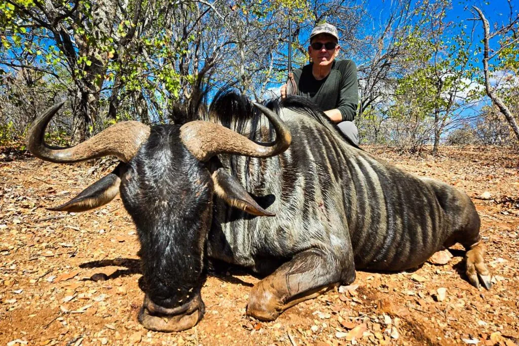 Wildebeest-compressed